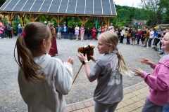 IMG_20250603_134436
