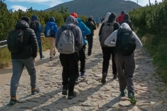 04e398ea-7a82-4314-a82e-e9cb3c740ad6