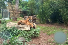 1598bfff-4b3a-4920-9616-f22f2bd3d7f2