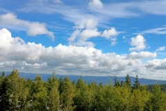 5e33e98f-e8fa-427a-bdec-1b7423175e70