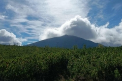 672ef71e-10ed-41db-8368-0ecd50819819