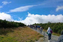 7aa93124-976d-4cb1-9309-772792e50c34-1