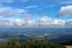 8f6a3571-e124-47be-a15e-9f7b746faf93