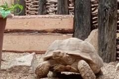 a09d4a79-fb5b-4470-b5e8-8d523bcd9850