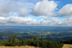 b39e5986-9ef2-4981-8b3a-8b001da07b10