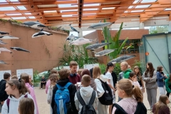 b5ff1a05-8ae5-4b61-96e5-03cf30e9cef8