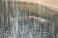 c9f504a3-74a1-4c6f-a6fb-b4546f46a6f1