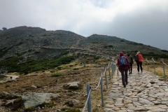 cd067d25-fd1e-4c87-88c5-6e49fe7d3f09