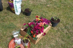 IMG_20250605_120739