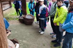 IMG_20250520_093318