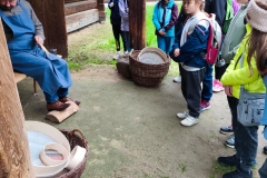 IMG_20250520_093322