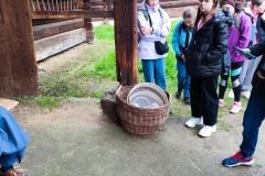 IMG_20250520_093950