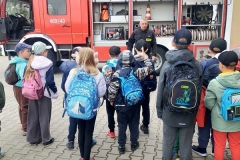 zdj-3