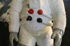 zdj-4