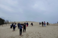 IMG_20250610_114053