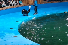 IMG_20250611_130841
