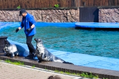 IMG_20250611_160908